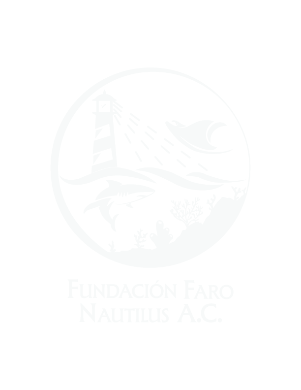 Blanco png-8